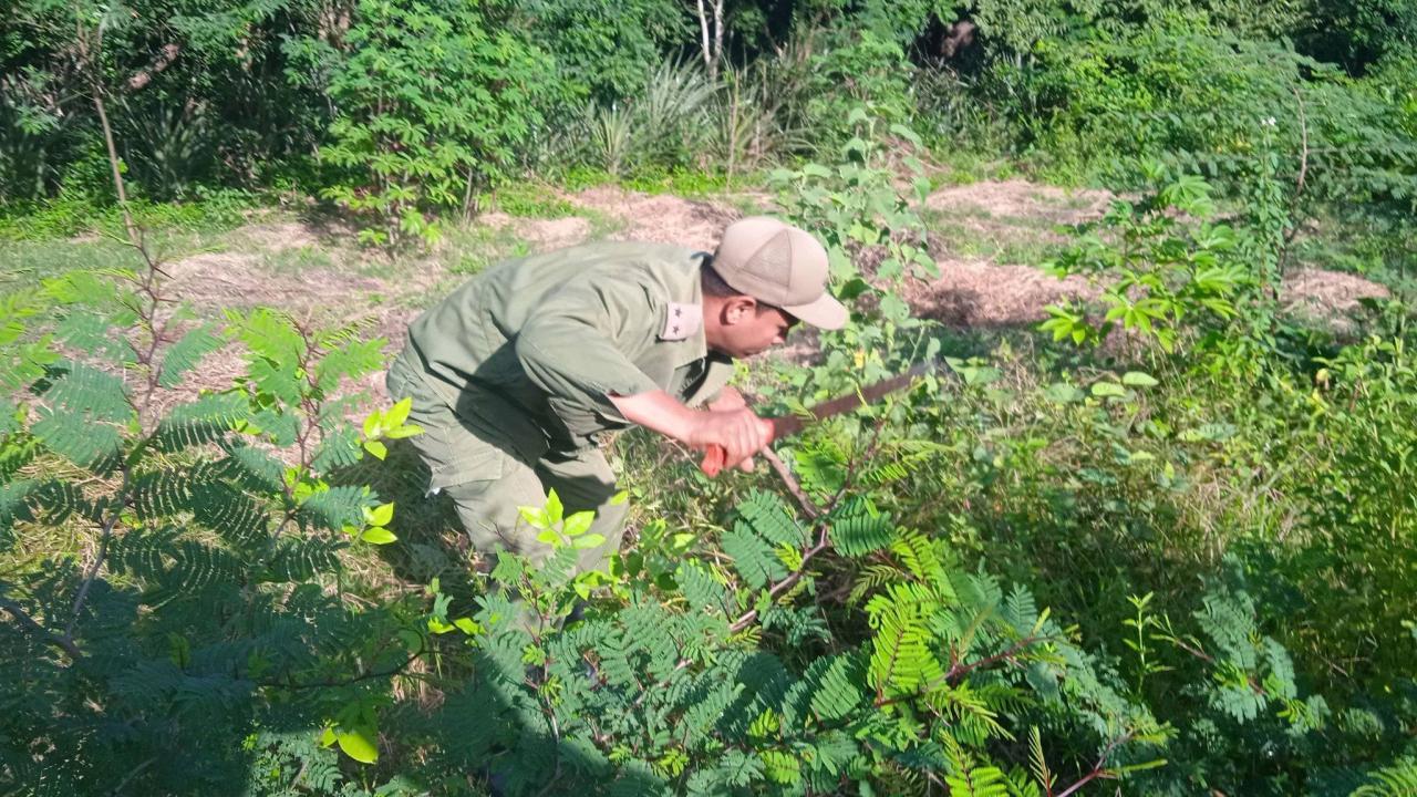 Un militar cubano chapea en el muncipio Guamá, de Santiago de Cuba.