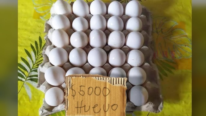 Un cartón de huevos a la venta en Cuba.