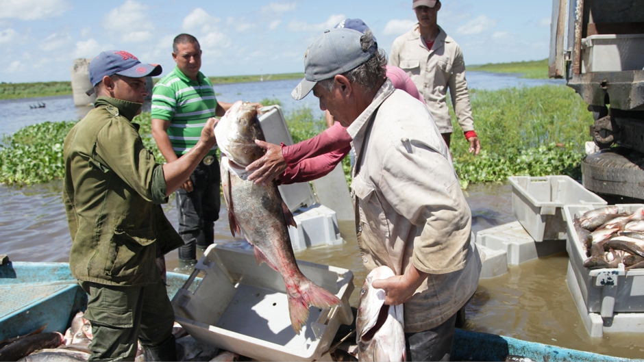 Pescadores cubanos.