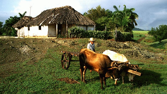 Un campesino cubano y su vivienda de madera.