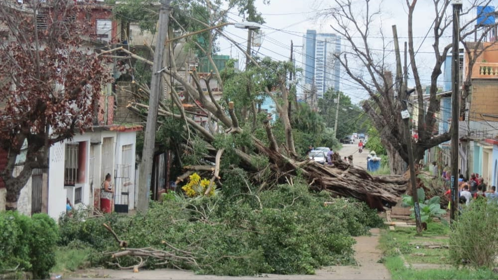 Devastación en La Habana por el paso del huracán Rafael.