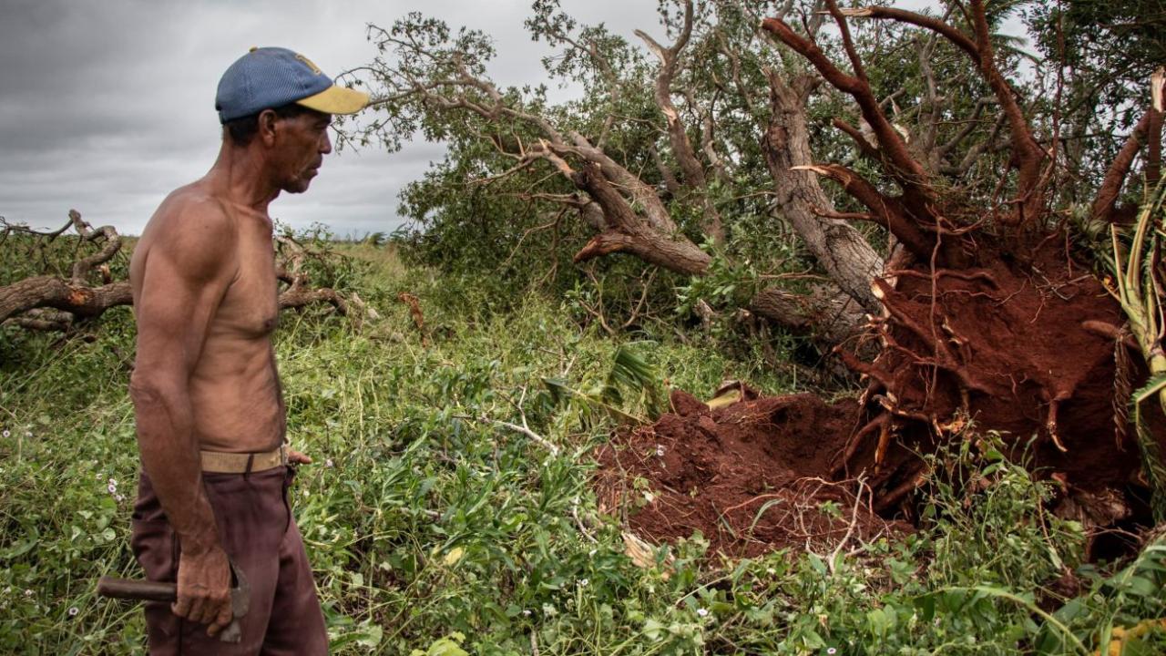 Un campesino afectado por el paso del huracán Rafael en Artemisa.