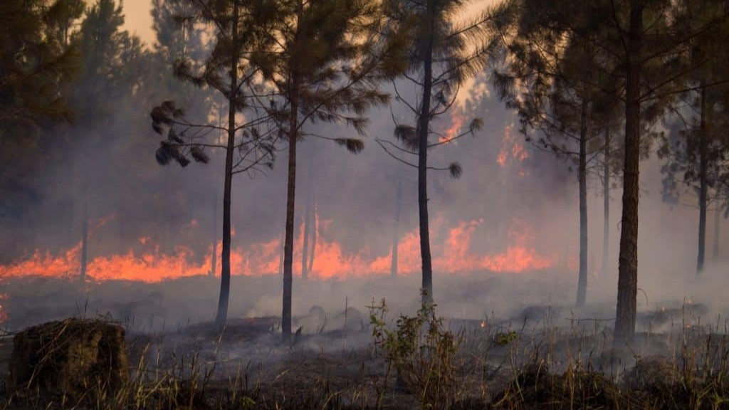 Incendio forestal en Cuba.