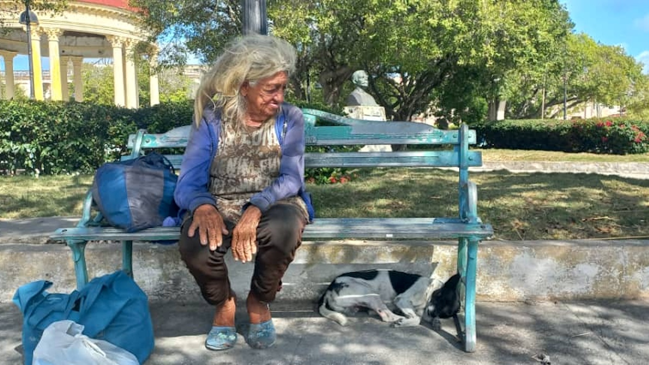 Ana Rosa Moreno Pérez junto a su perro en un banco del parque La Libertad, de Caibarién.