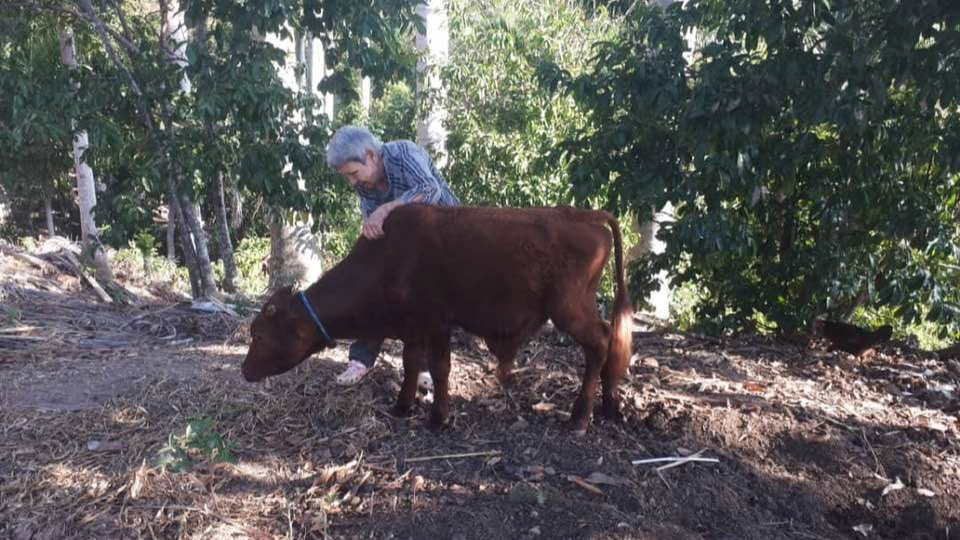 Isabel Ruiz Urquiola con uno de los animales de la finca.