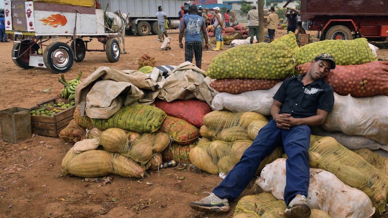 Producción agropecuaria en Cuba esperando por Acopio.