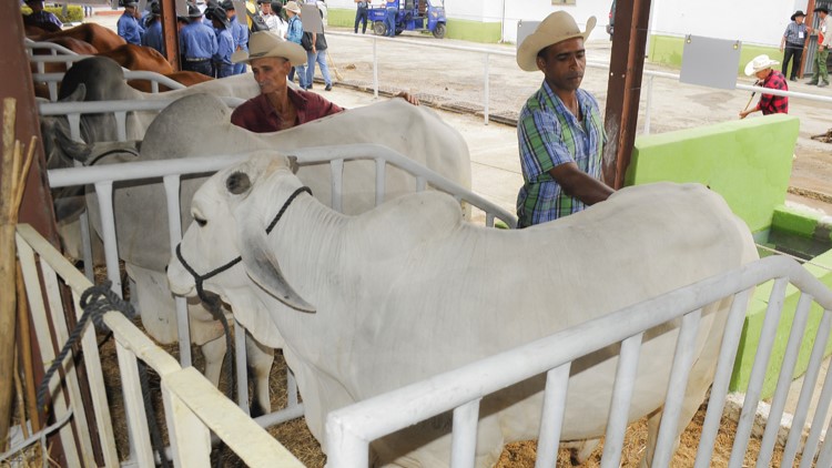 Feria Internacional Agroindustrial Alimentaria.