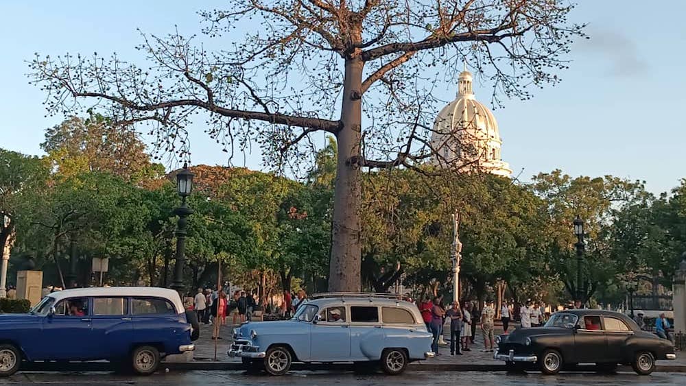 Vehículos antiguos en La Habana.