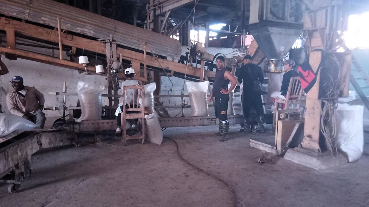 Trabajadores del central Jesús Sablón Moreno de Calimete, Matanzas.