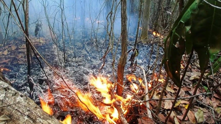 Zonas boscosas afectadas por el incendio en Guantánamo.