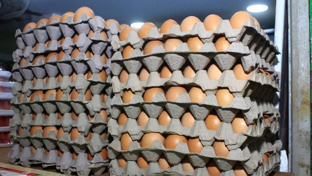 Huevos.