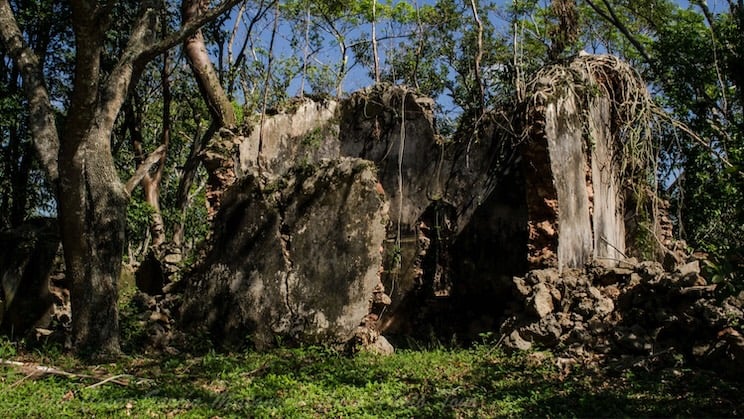 Ruinas del cafetal La Dionisia, Matanzas.