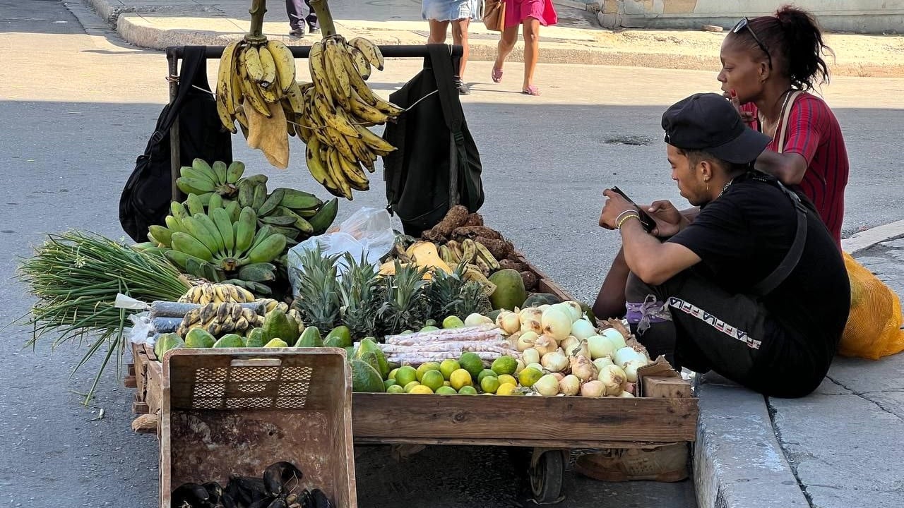Vendedores de productos agropecuarios en La Habana