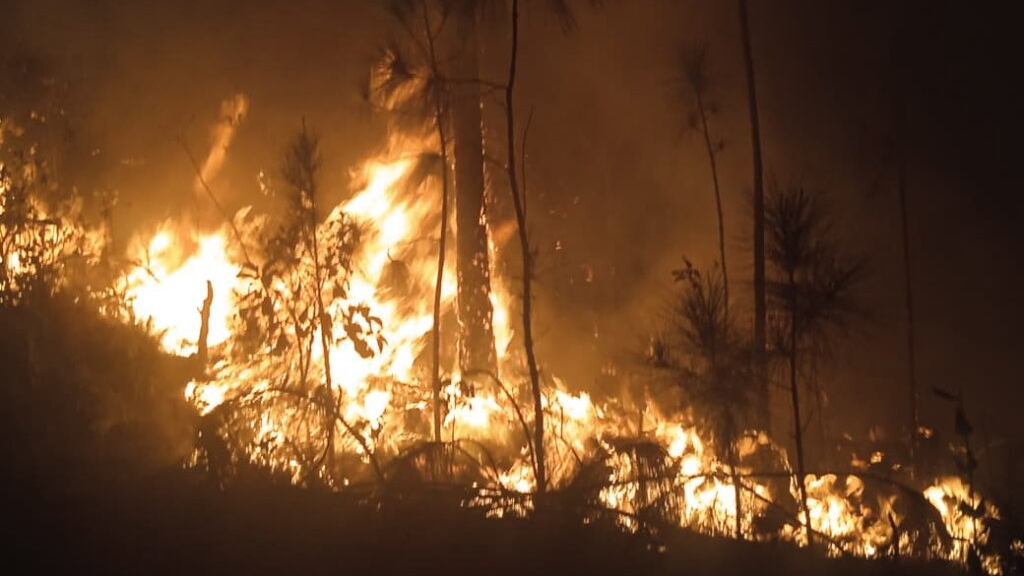 Incendio forestal en Pinar del Río.