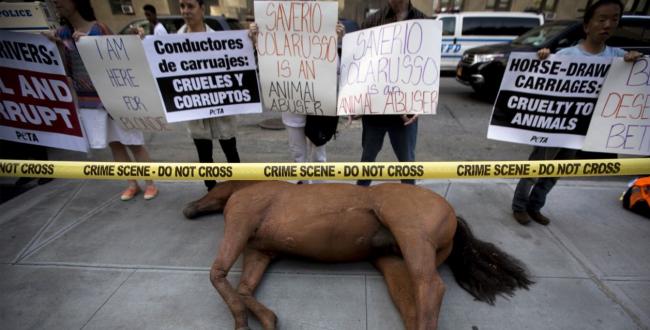 Protesta por el maltrato a los caballos en EEUU.