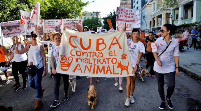 Marcha contra el maltrato animal en La Habana, en abril de 2019.