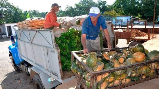 Camión con productos agrícolas para su distribución en Cuba.