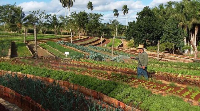 El proyecto agroecológico llamado 'Finca Marta'.