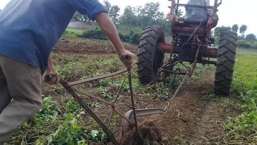 Campesinos cubanos roturan un terreno.