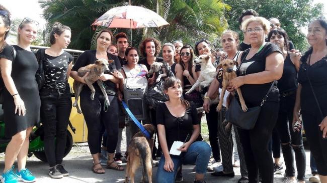 Grupo de protectores durante una protesta ante la sede de Zoonosis en La Habana.