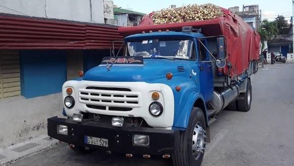 El camión con la cebolla decomisada.