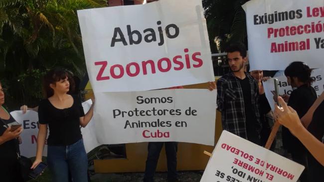 Animalistas cubanos a las puertas de Zoonosis