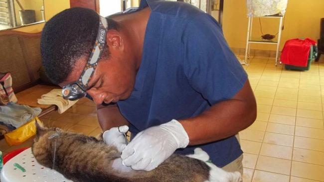 Un veterinario en Cuba.