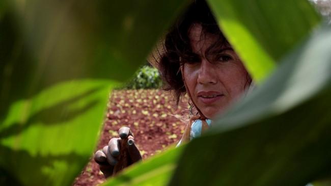 Una mujer cubana en un campo de cultivos.
