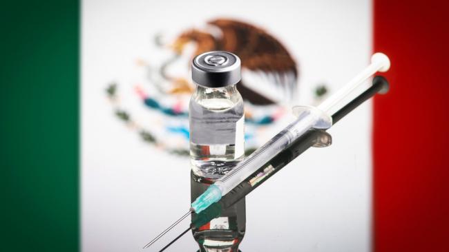 Vacuna mexicana Patria.