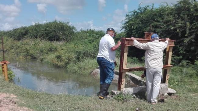 Dos campesinos cubanos cerca del agua para la cosecha de arroz.