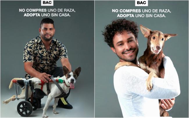 Imágenes de la campaña 'No compres uno de raza, adopta uno sin casa'.