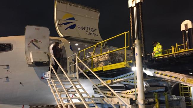 Un avión de carga de la compañía estadounidense Swift Air o iAero Airways.