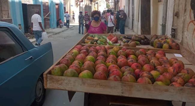Tarima de un vendedor en La Habana.