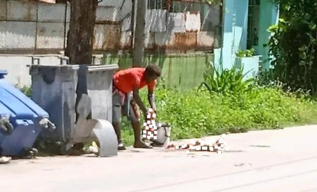 Un perro asesinado por un individuo en Marianao, La Habana.