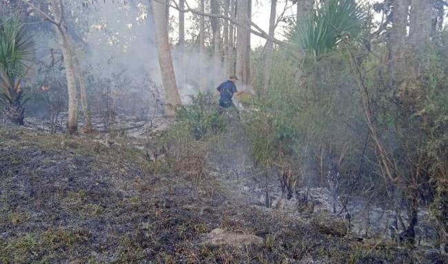 Incendio forestal en la Ciénaga de Zapata.