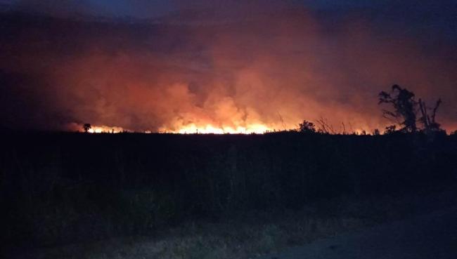 Incendio forestal en la Ciénaga de Zapata.