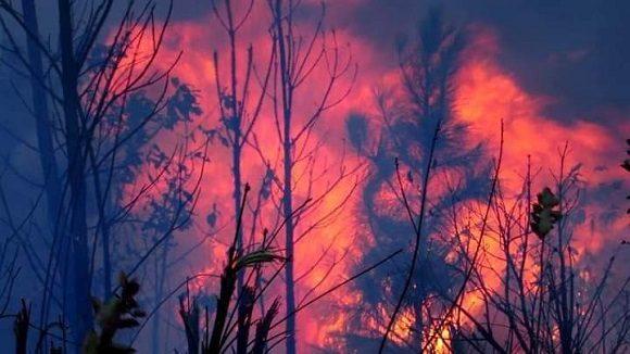 Bosques en llamas en Pinar del Río por el nuevo incendio forestal.