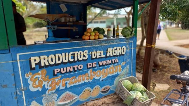 Puesta de venta de productos agrícolas en Cuba.
