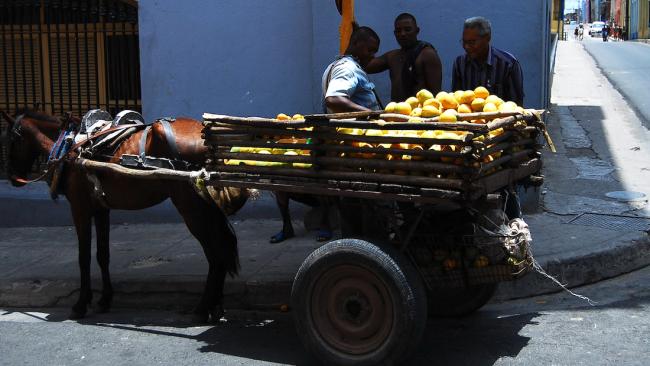 Vendedor de mangos.