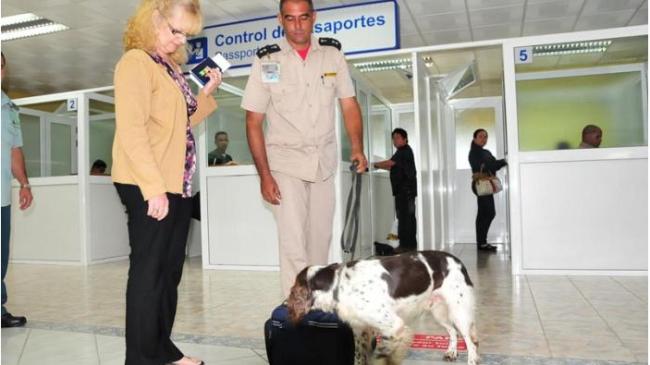 Un tabajador de la Aduana utiliza un perro para buscar drogas.
