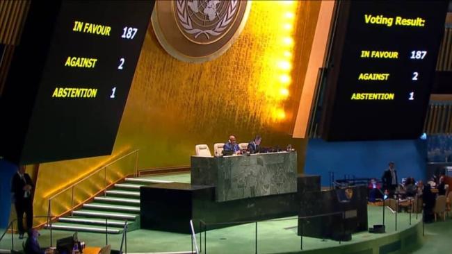 Resultado de la votación sobre el embargo en la ONU.