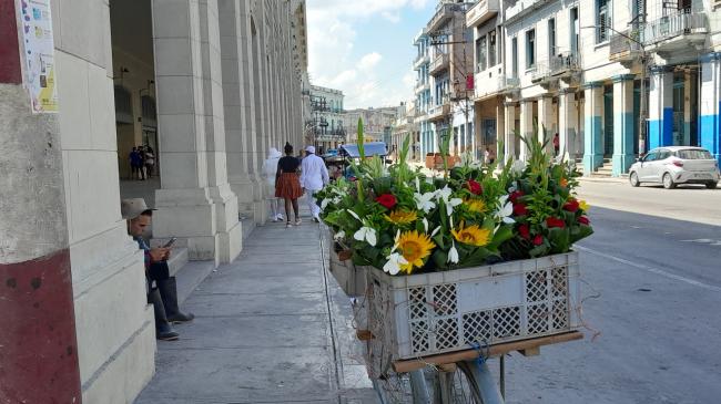 Un vendedor de flores en La Habana.
