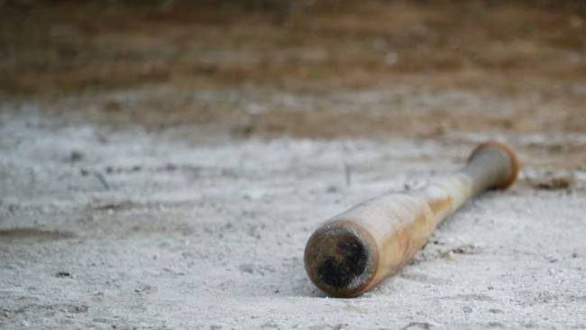 Un  bate de béisbol sobre la grama de un terreno de juego.
