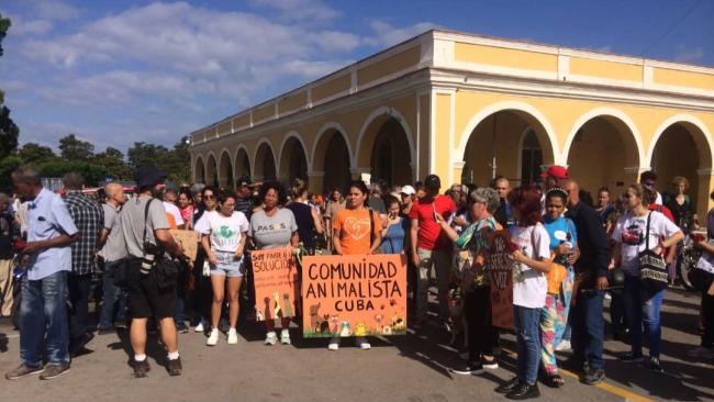 Peregrinación de animalistas por el Día del Perro en el Cementerio de Colón, La Habana.