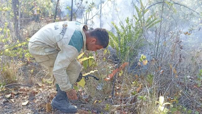 Miembro del Cuerpo de Guardabosques de Cuba en la zona de uno de los incendios.