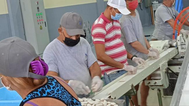 Trabajadores de la fábrica de jabones Mercamax, de Yoandri Riverón. 