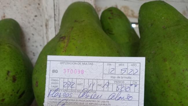 Multa impuesta a un cubano en 2022 por vender aguacates de su propio árbol.