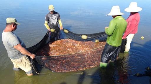 Pescadores en Cuba.