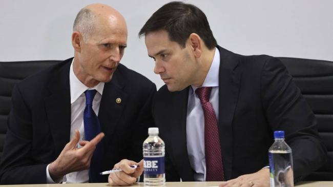 Los senadores republicanos Rick Scott y Marco Rubio.