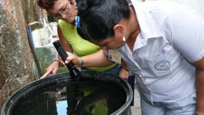 Una inspectora del MINSAP examina un depósito de agua buscando larvas de mosquito en Cuba.